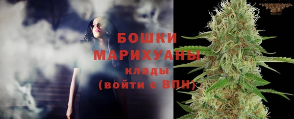 ПСИЛОЦИБИНОВЫЕ ГРИБЫ Аркадак