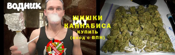 ПСИЛОЦИБИНОВЫЕ ГРИБЫ Аркадак